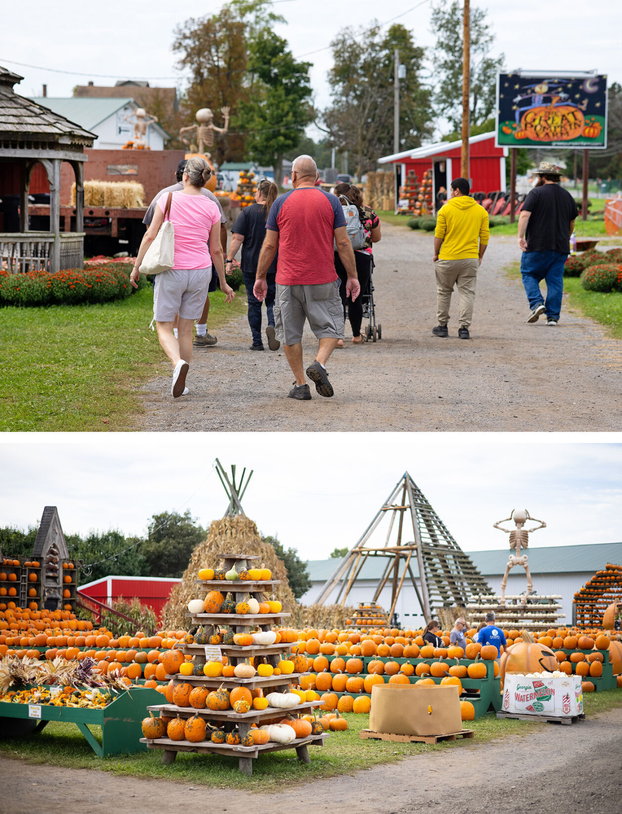 Great Pumpkin Farm visitors